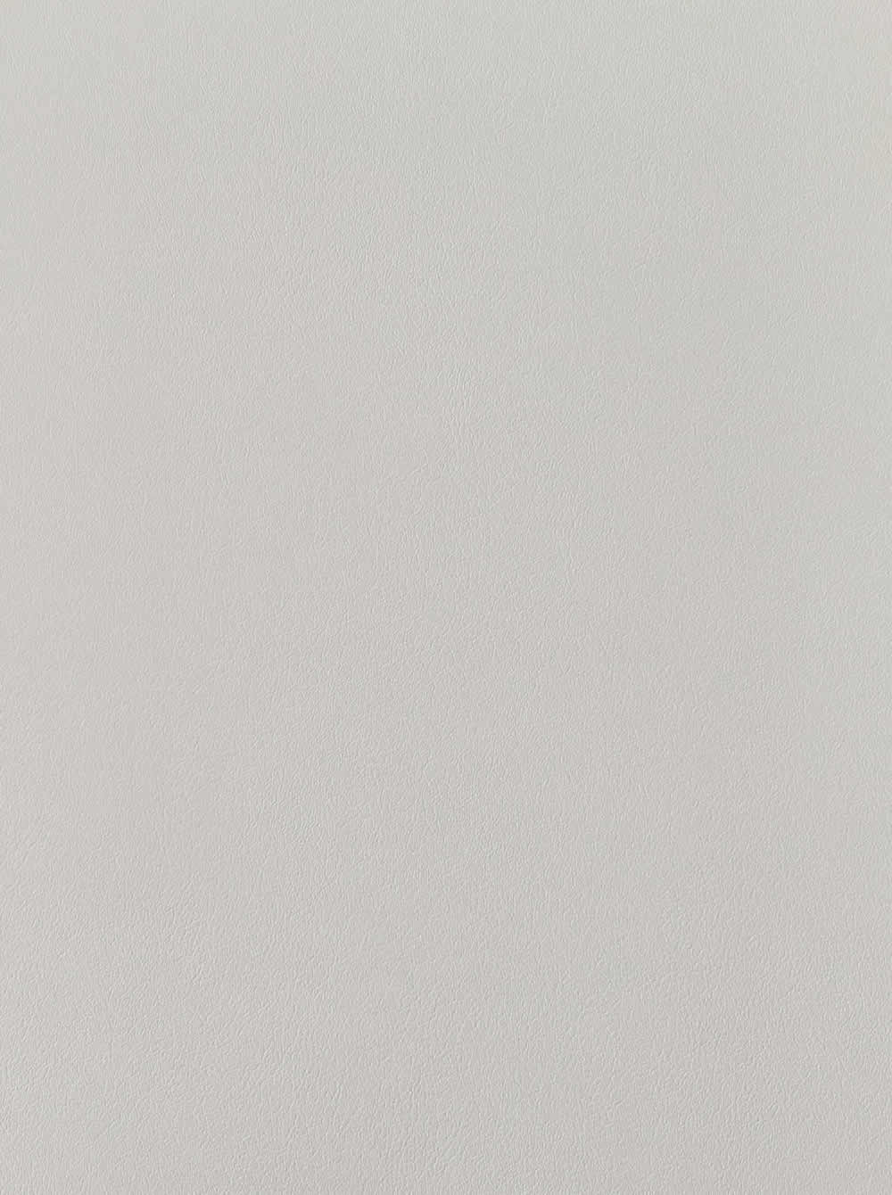 VS021