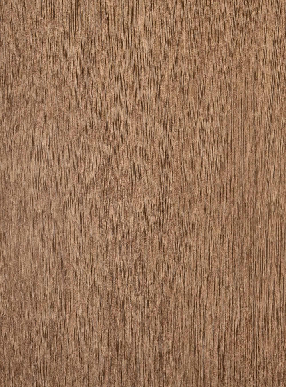 WH019