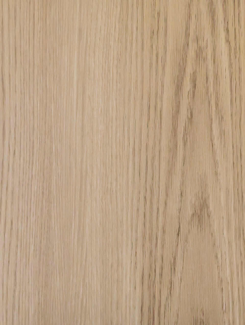 WN008