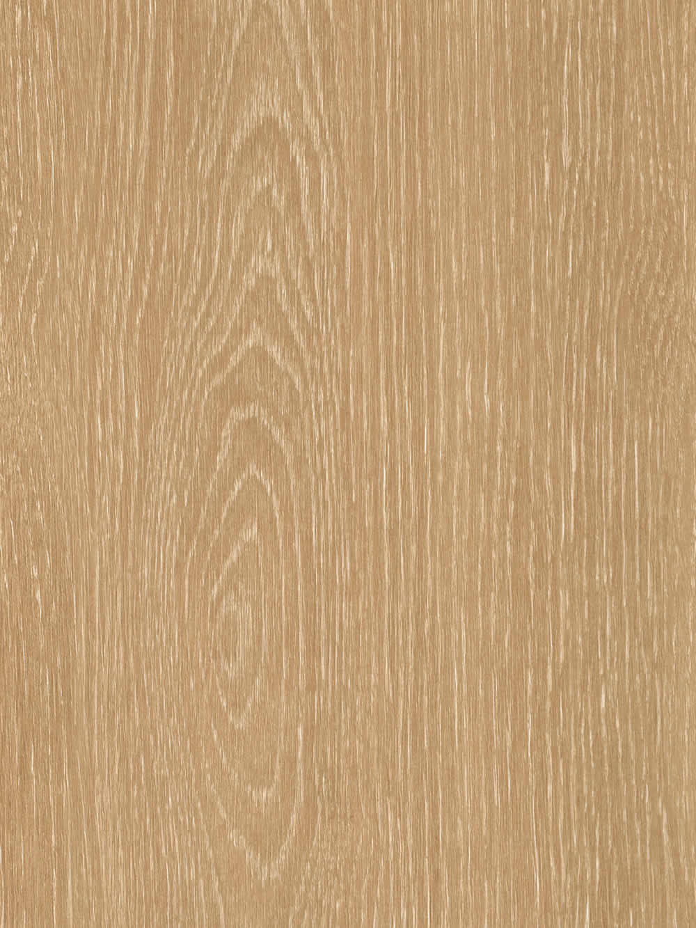 WP004