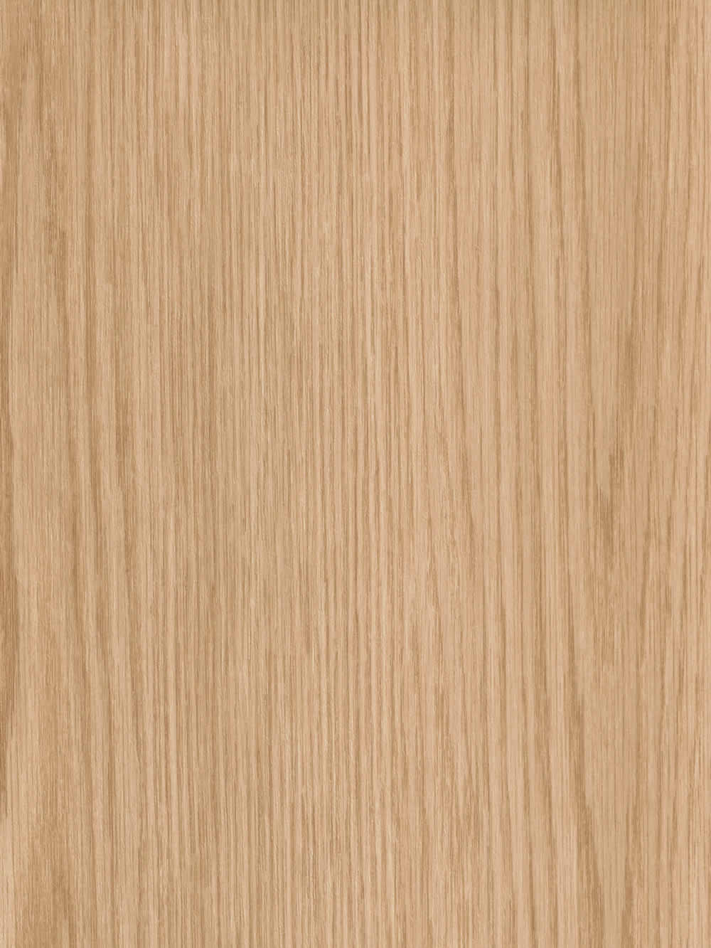 WP007