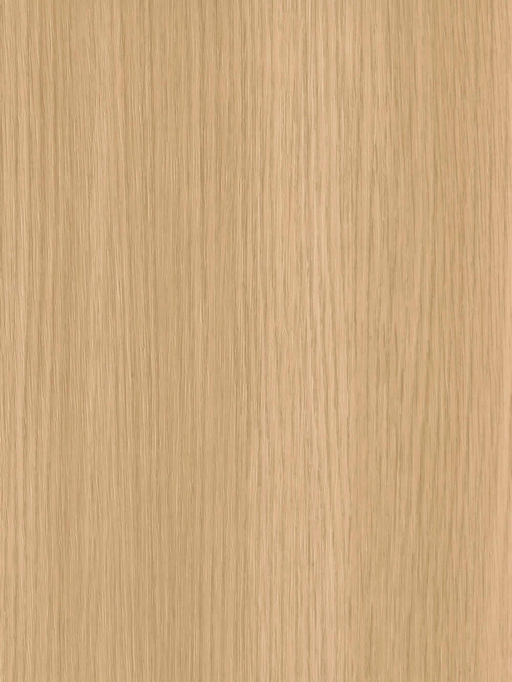 WP021