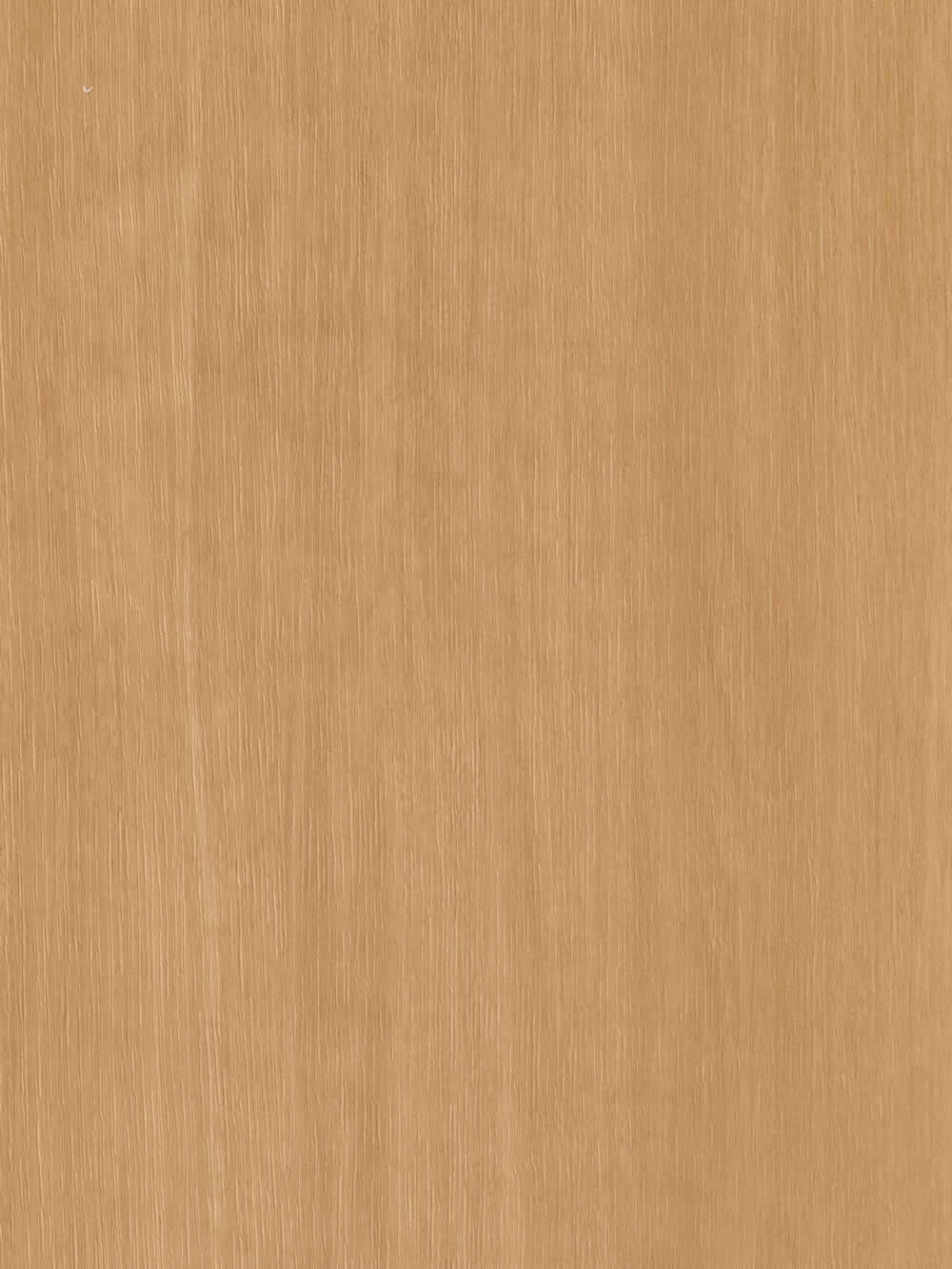 WP033