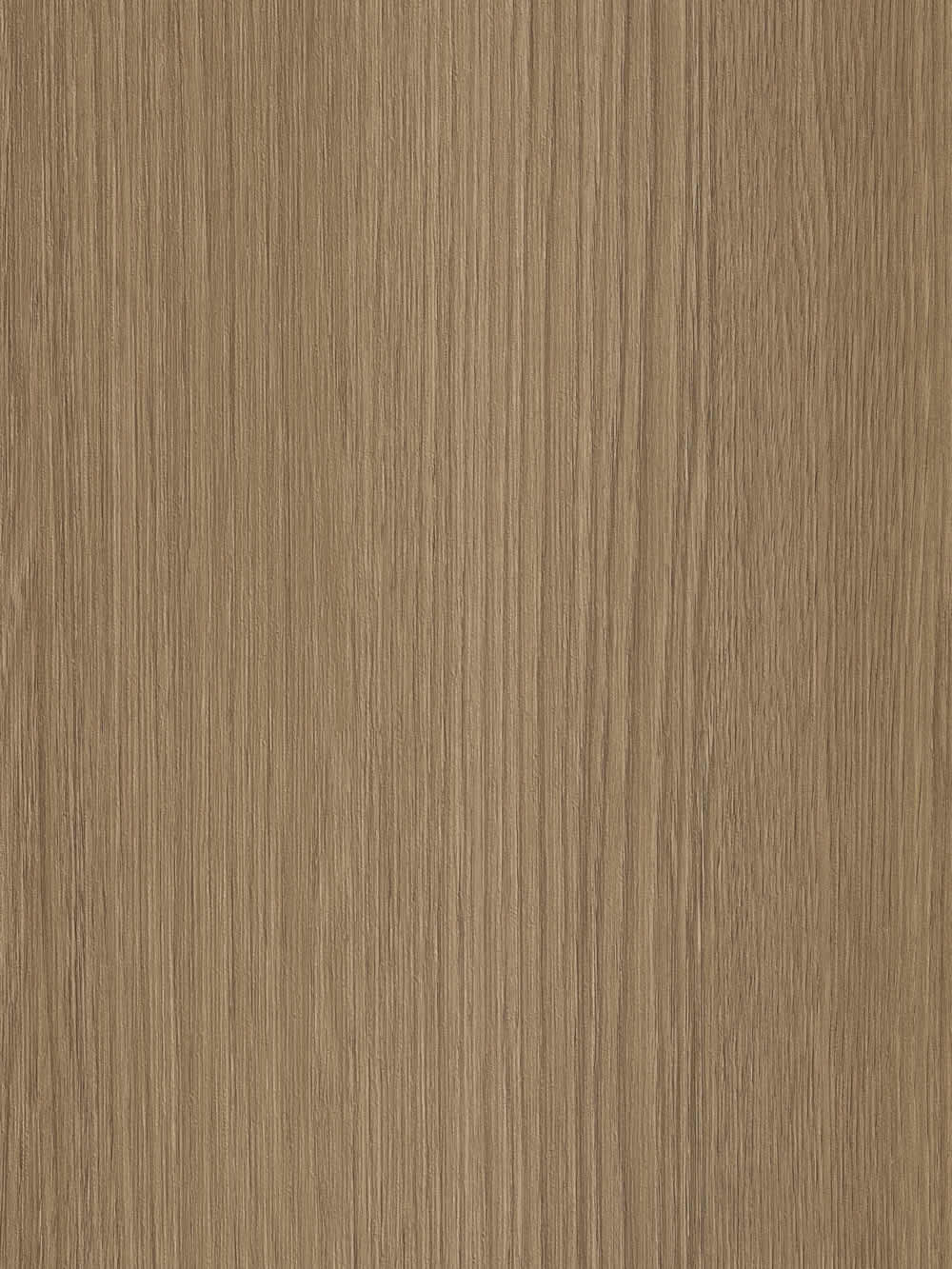 WP047